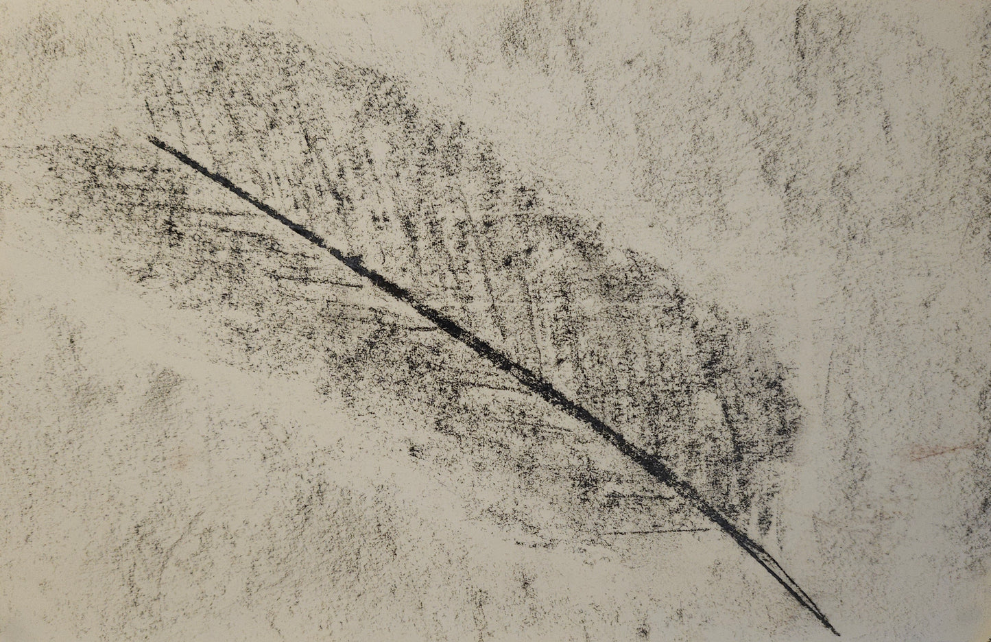 "Feather" A5 Giclée Print image 0