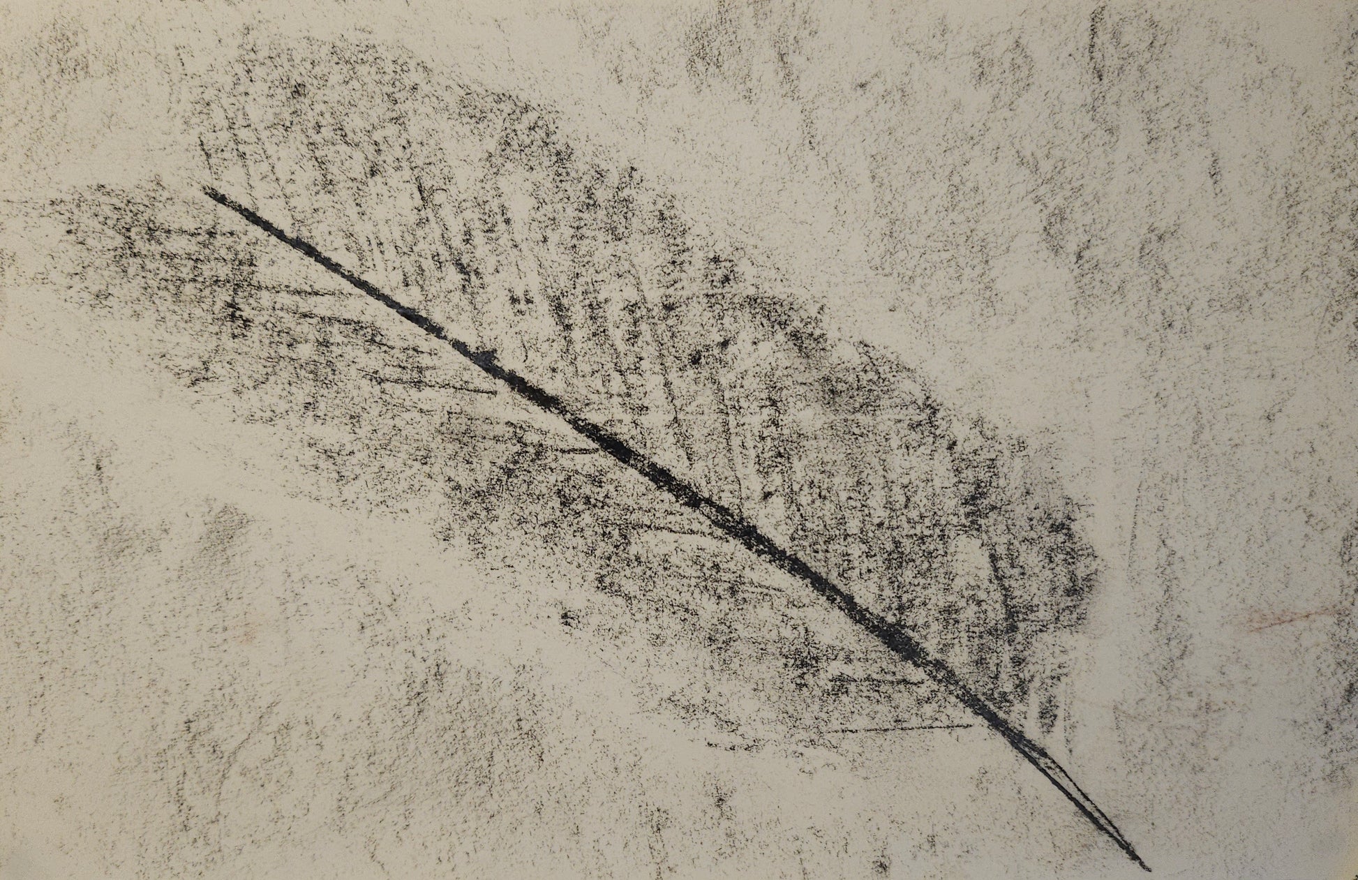 "Feather" A5 Giclée Print image 0